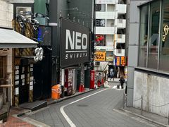 -涩谷全向十字路口