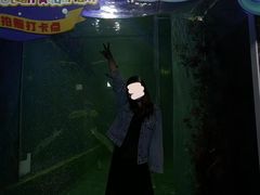 -洛阳龙门海洋馆