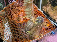 濑尿虾-蛇口市场