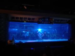 -成都浩海立方海洋公园