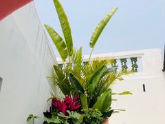-菌林天下·野生菌汤锅