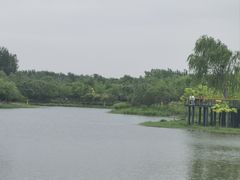 -东郊湿地公园