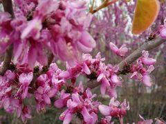 -祥源·阜阳生态乐园