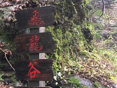 -夏霖九天银瀑风景区