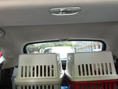 -申普宠物医院·心脏介入·心血管微创(总院)