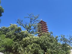 -牛首山文化旅游区