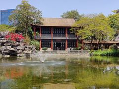 -顺峰山公园