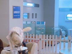 -怪兽屋·羊驼·猫咖·狗咖(俊华广场店)