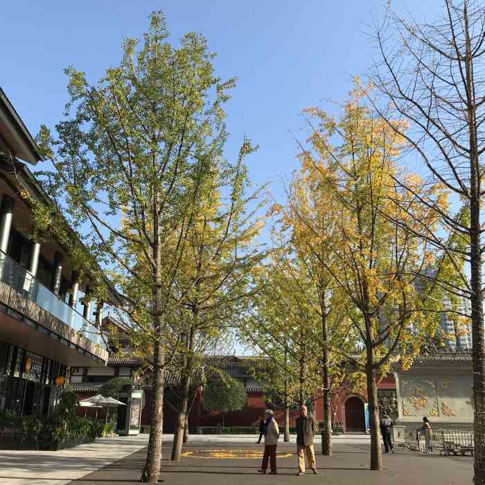 太古里分东广场,西广场和漫广场(据我所知)  漫广