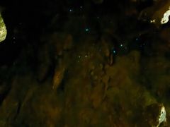 -怀托摩萤火虫洞