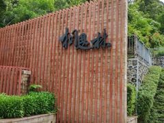 -银湖山郊野公园-相思林