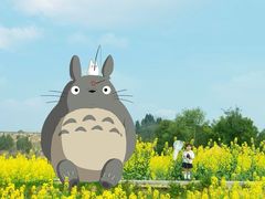 -西山漾湿地公园