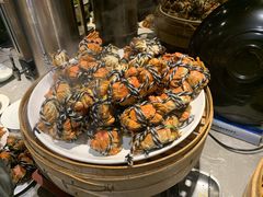 -五月罗马海鲜自助餐厅(陆家嘴店)