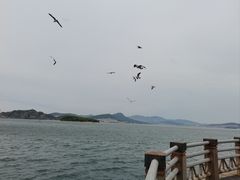 -旅顺博物馆