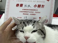 -御宝贝24h宠物医院·转诊中心·CT核磁血透中心(厦门总院)