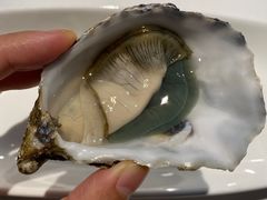 -Oyster Talks 四度蚝法餐厅
