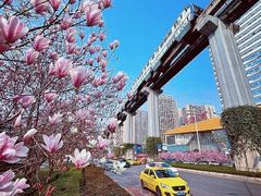 -万达广场(巴南店)