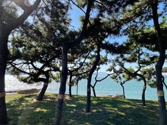 -青岛海滨风景区
