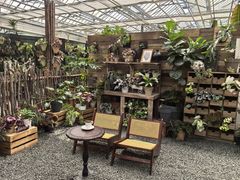 -上海鲜花港