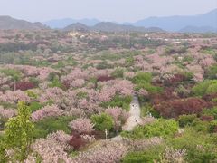 -四明山国家森林公园