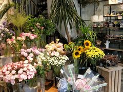 -植物学家的女儿(北马道巷店)