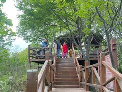 -大岭沟猕猴桃谷风景区