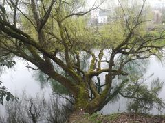 -贵阳市花溪国家城市湿地公园