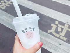 -一只酸奶牛(八一路店)