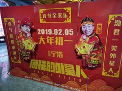 -奥斯卡升龙国际影城(RealD Cinema)