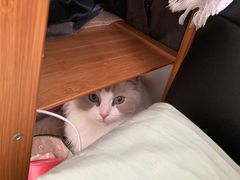 -生如夏花泰式火锅(鹭洲里店)