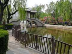 -团结湖公园