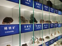 -中国地质博物馆