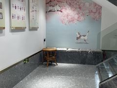 -希望动物医院(汉阳院)