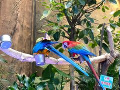 -杭州开元森泊度假乐园