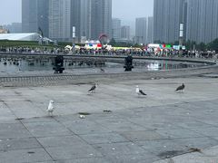 -东港音乐喷泉广场