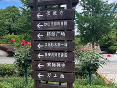 -冶父山国家森林公园