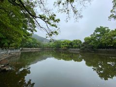 -阿育王寺