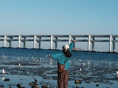 -星海湾跨海大桥