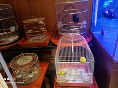 -老江南春·中国龙菜(衡山路店)