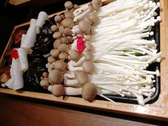 综合养生菌-快乐小羊·内蒙牛羊肉火锅(流花中心店)