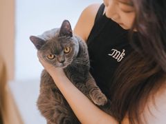 -有喵·猫咖·狗咖·30几只猫10只小狗(岗厦店)