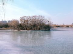 -大兴滨河森林公园