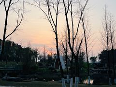 -铁山坪森林公园