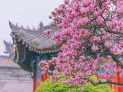-西安市广仁寺