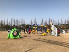 -上海长兴岛郊野公园