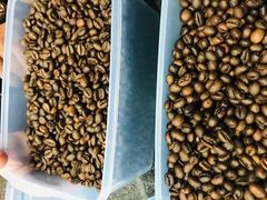 -巴厘岛黄金金兔咖啡工厂