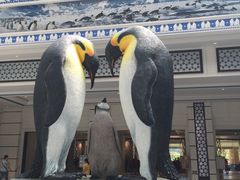 -广东省拱北口岸中国旅行社(华宾营业部)