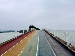 -贡湖湾湿地公园