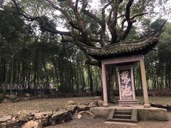 -兰亭风景区