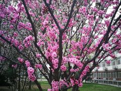 -首都师范大学(良乡校区)